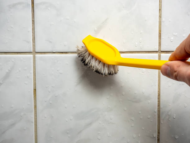 Best Local Mold Removal Service  in Youngsville, LA