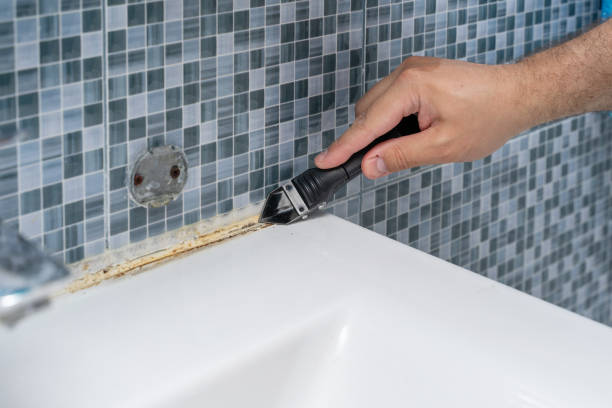 Best Commercial Mold Removal  in Youngsville, LA
